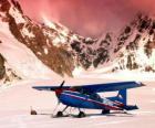 Cessna 185 в снегу